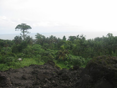 (c)2004 - Planète du rêve rural