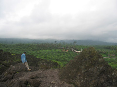 (c)2004 - Planète du rêve rural