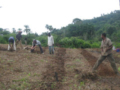 (c)2004 - Planète du rêve rural
