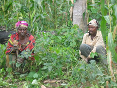 (c)2004 - Planète du rêve rural